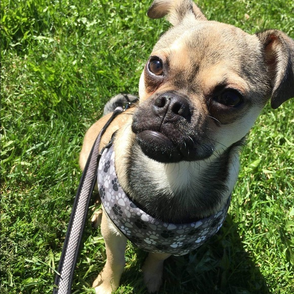 Me - Picture 6 of 17